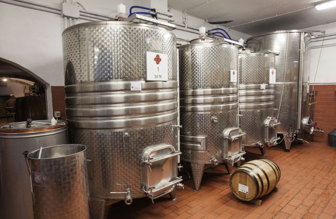 visite cantina vigna Podere Monti